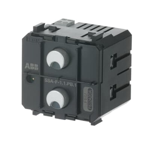 AB-SSA-F-1.1.PB.1