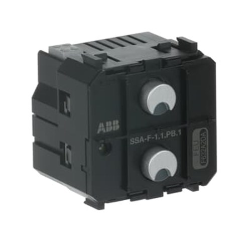 AB-SSA-F-1.1.PB.1