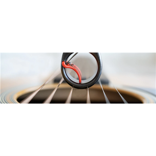 BN-RING-SLIDE_3