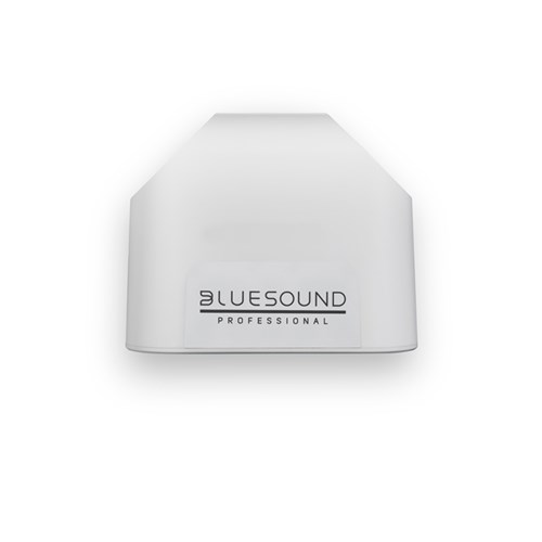 BP-BSP125W_2
