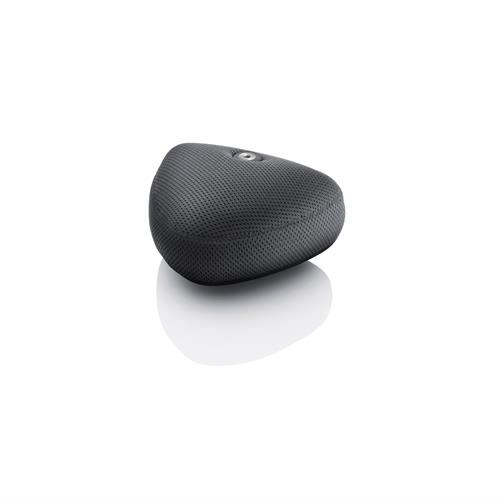 DPA d:mension™ 5100 Mobile 5.1 Surround Mic