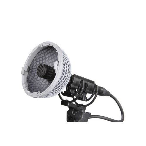 RR-RYC011003_2