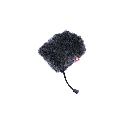 RR-RYC055308