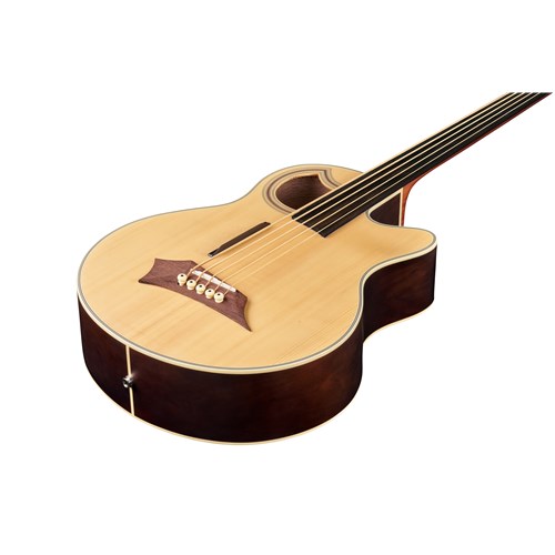 RockBass Alien Deluxe 5 String Natural High Polish Fretless