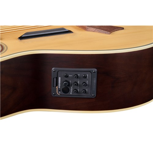 RockBass Alien Deluxe 5 String Natural High Polish Fretless