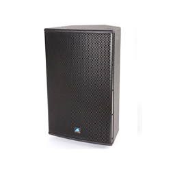 XDS10 Box Speaker 10"+ Horn 250W 8Ohm Black