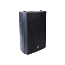 XRS12B Box Speaker 12"+ Horn 300W 8Ohm Black