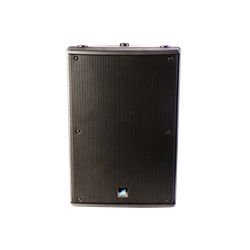 XRS12ODV Box Speaker 12"+ Horn 300W 100V/8Ohm IP44 Black