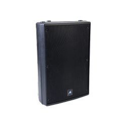 XRS8B Box Speaker 8"+ Horn 100W 8Ohm Black