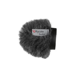 RR-RYC033012